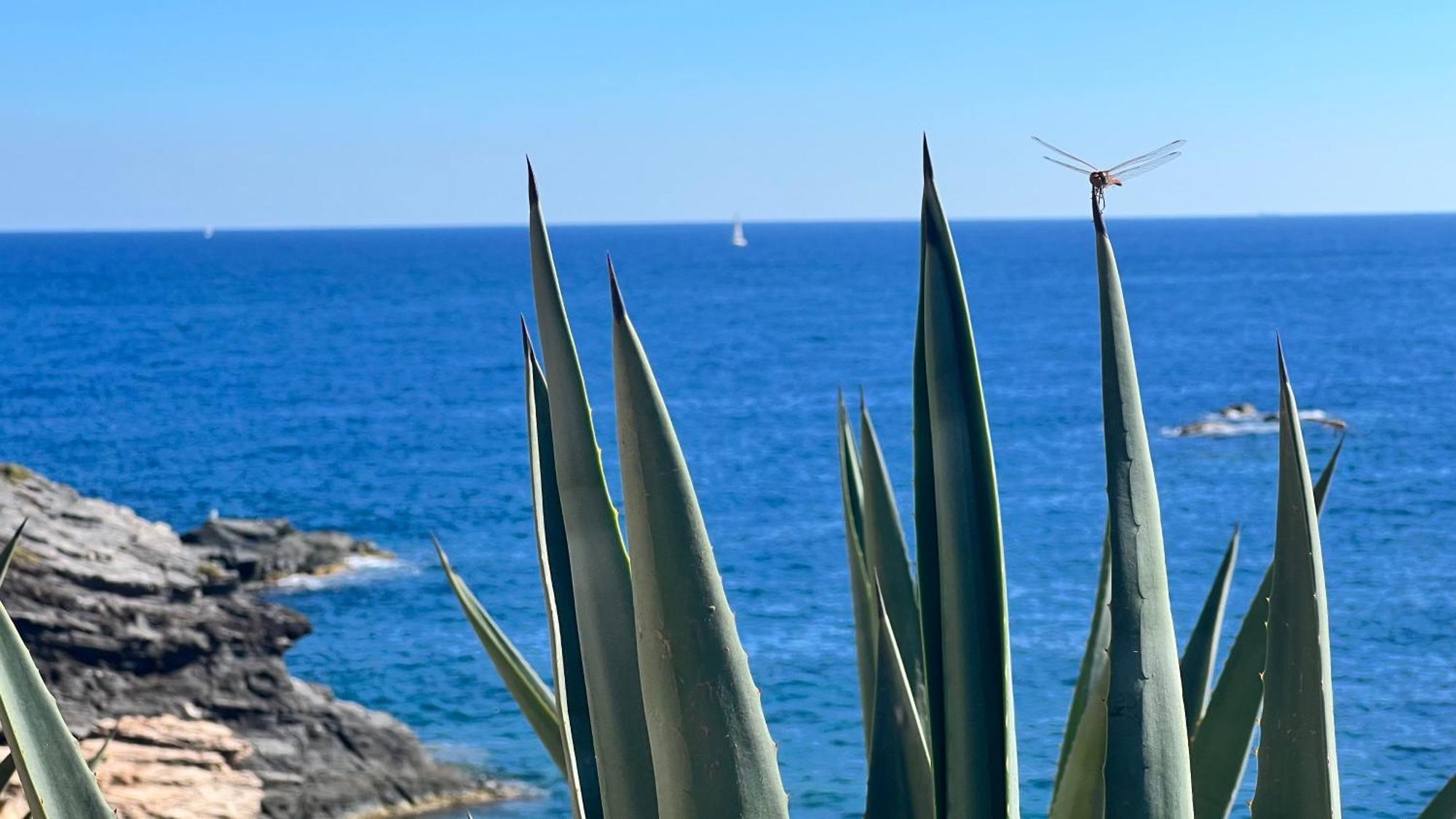 טורבייחה Punta Prima - Sun & Beach & Golf & Bike - Spanish South-Facing Terrace Apartment - La Recoleta - By The Sea מראה חיצוני תמונה