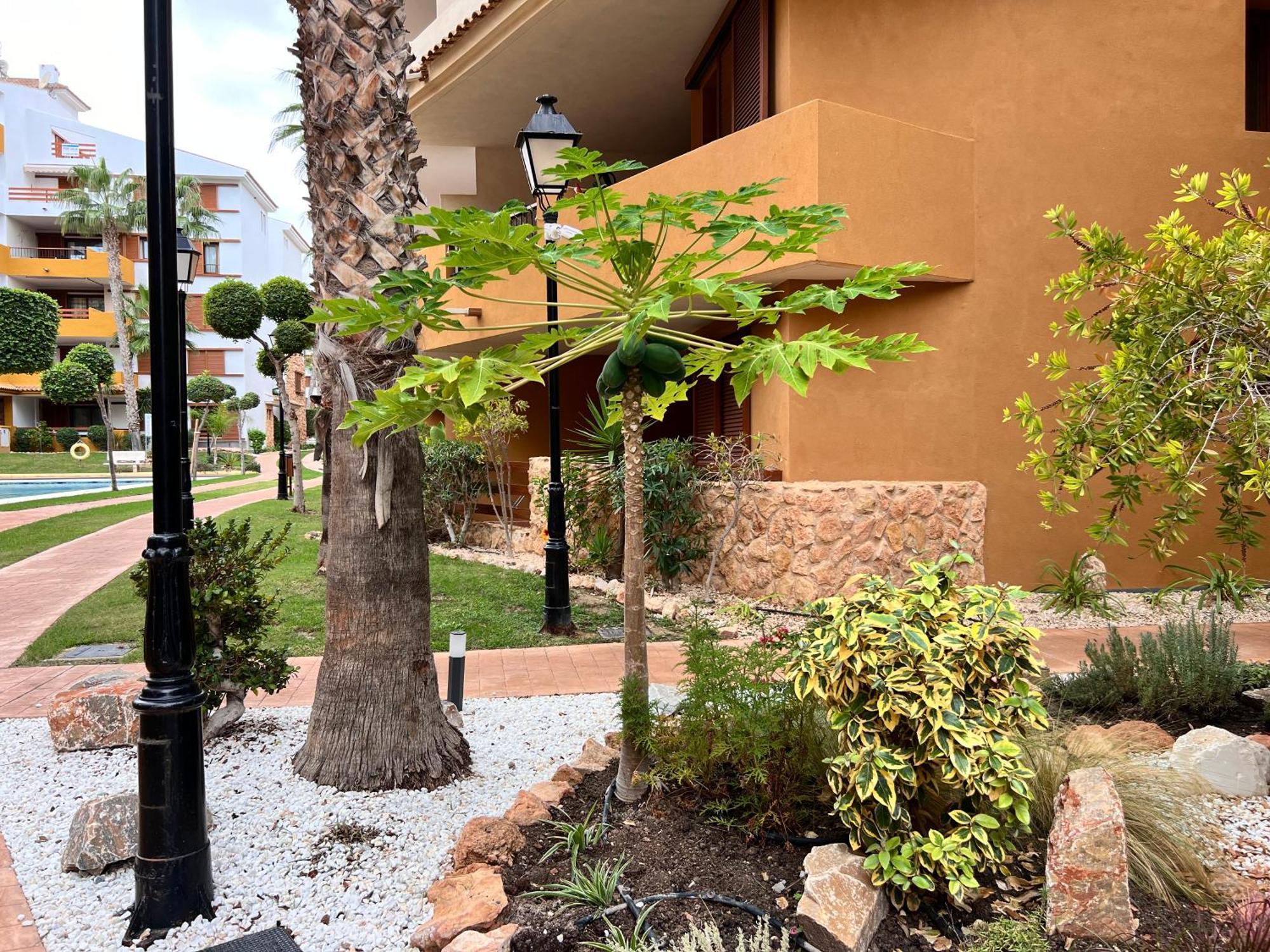 טורבייחה Punta Prima - Sun & Beach & Golf & Bike - Spanish South-Facing Terrace Apartment - La Recoleta - By The Sea מראה חיצוני תמונה